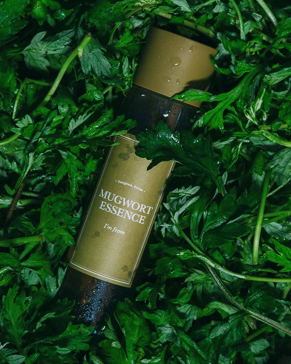 I'm From Mugwort Essence 160ml — Artemisia Calming Essence — gallery image 5