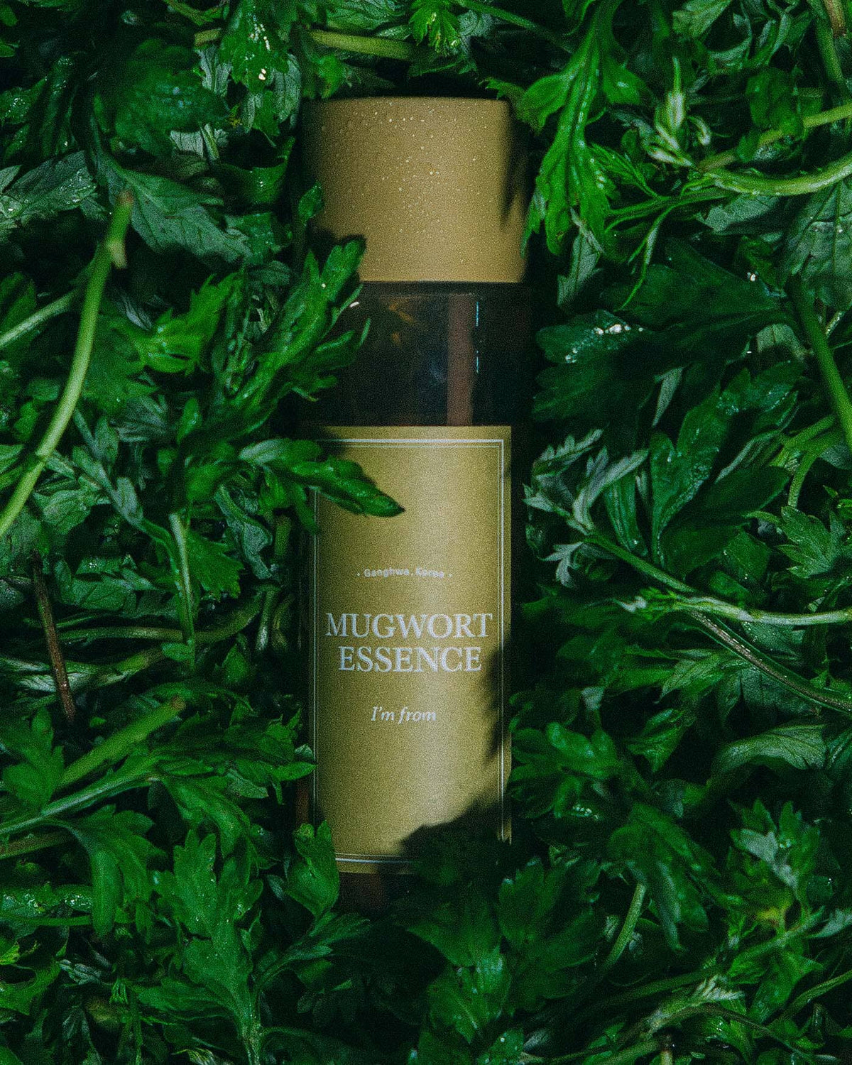 I'm From Mugwort Essence 160ml — Artemisia Calming Essence — gallery image 4