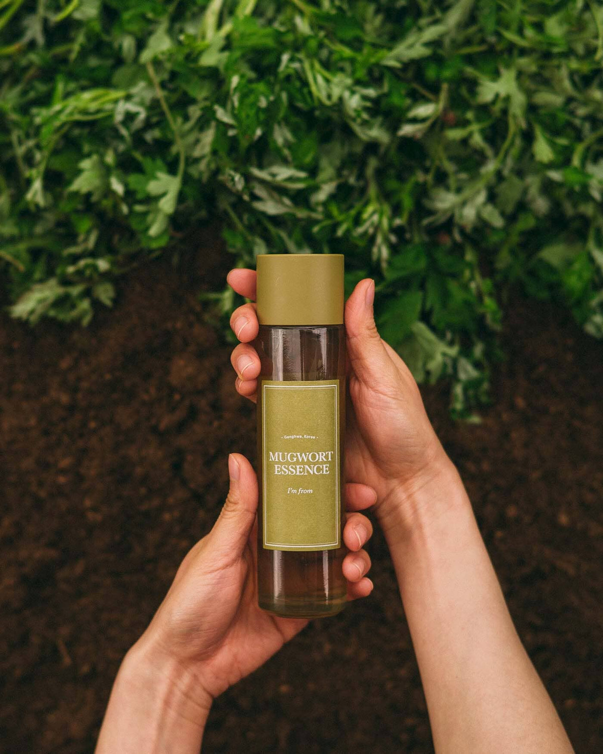 I'm From Mugwort Essence 160ml — Artemisia Calming Essence — gallery image 6